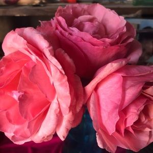 Meet your Posher, Nancy